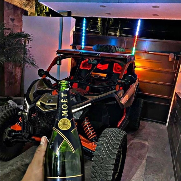 Meet your Posher, Chavita - Picture 1 of 1